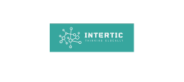 Logo IT Partner